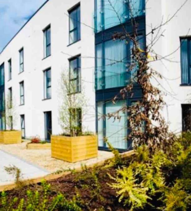 Ormeau Road Stylish Double Bedroom Luxury Apartment Belfast Bagian luar foto